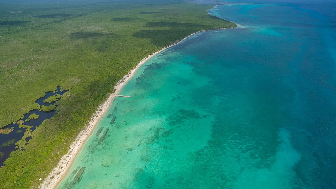 Aerial view of the Palancar beach coastline in Cozumel, with turquoise water along the jungle