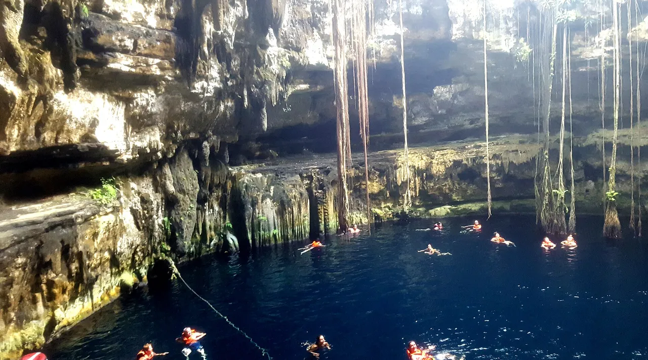 Swimmers in life jackets at Oxman cenote, with long roots hanging from the opening above