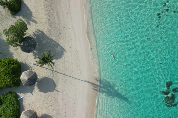 Secrets The Vine Cancún