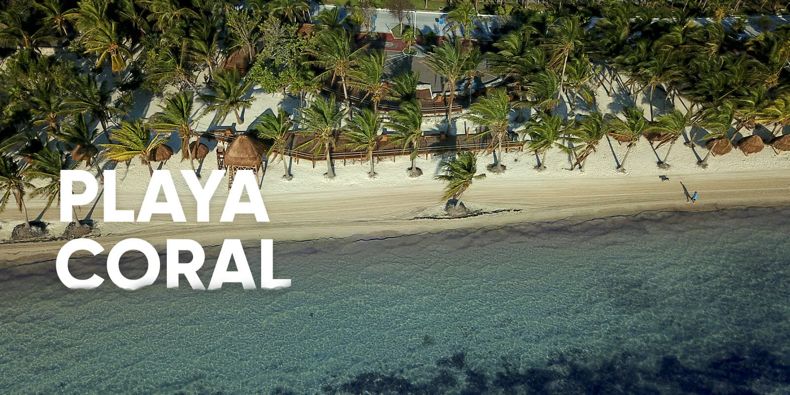 Playa Coral Pet Friendly Cancún