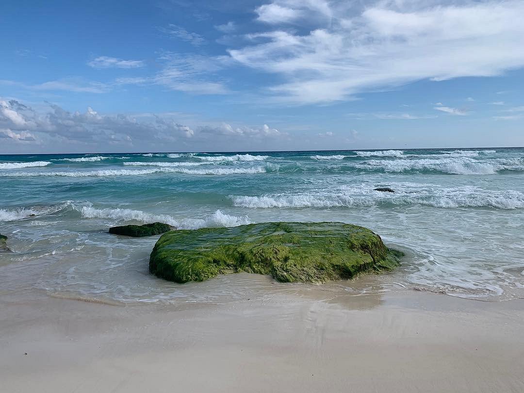 Vista de Forum by the Sea desde la playa